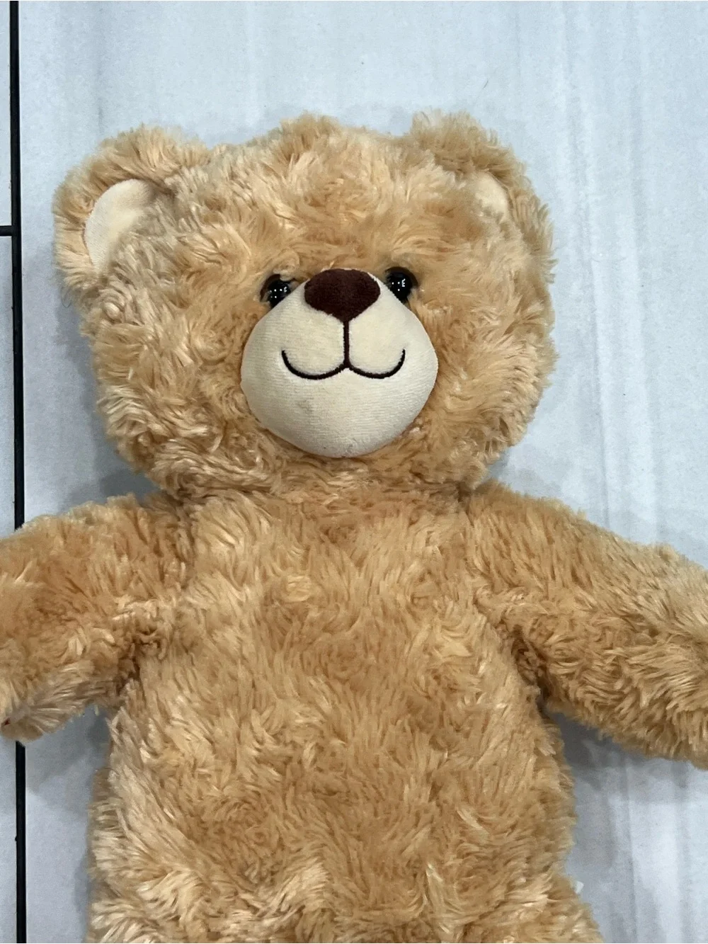 Lot Of 2 Build A Bears - Brown - 2016 & Birthday Bear 2019